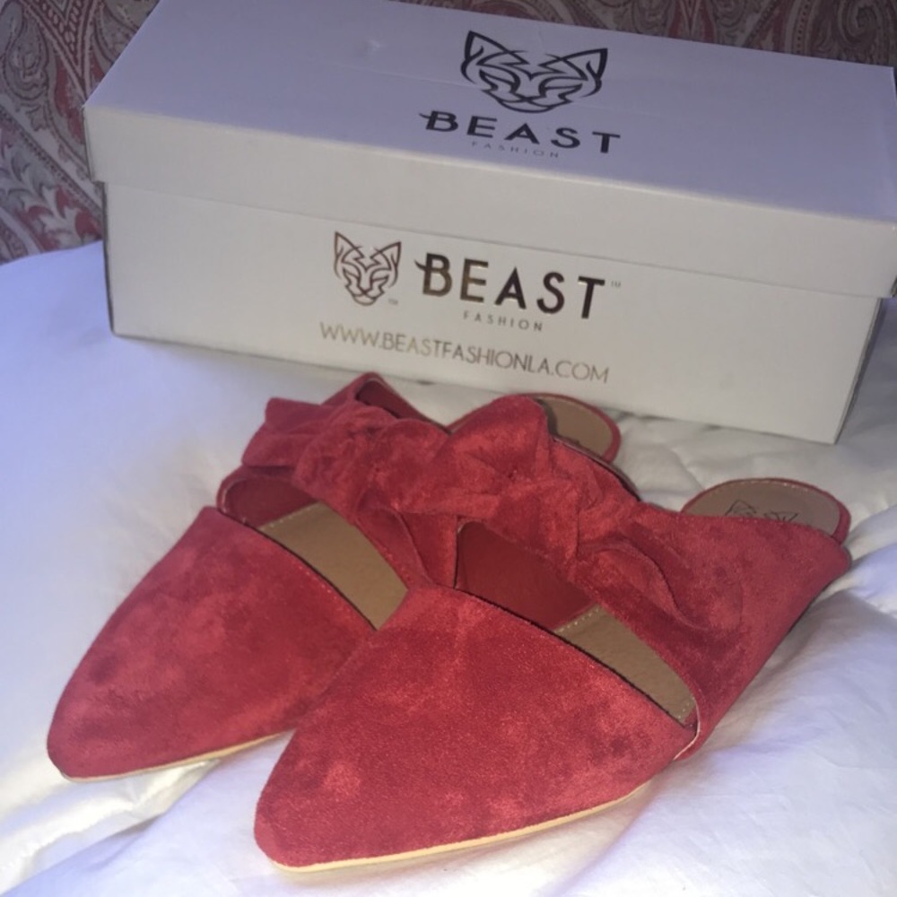 BEAST slides